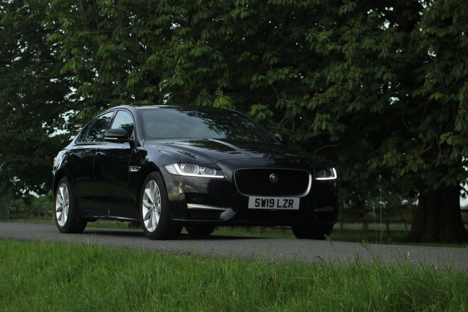 A black Jaguar photographed from a low front three-quarter angle on a country drive.