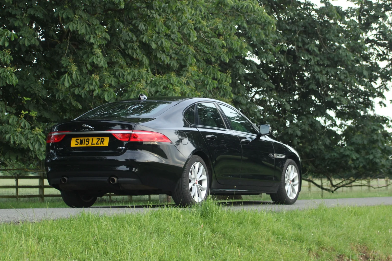 A black Jaguar viewed from the rear three-quarter angle, framed by grass and trees.